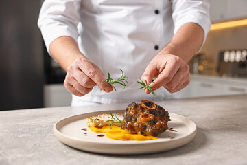 Professional chef serving dish at table indoors, closeup