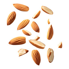 Single Raw Almond in High-Resolution Transparency, isolated on transparent background.