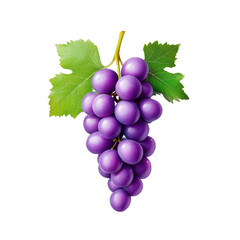 Fototapeta premium Lush Purple Grapes with Green Leaves HighResolution Digital Illustration for Design Projects