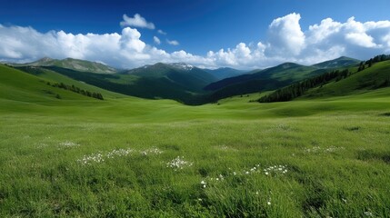 Expansive alpine meadow stretching towards a mountain range under a vibrant blue sky. Lush green grass, scattered wildflowers, and rolling hills