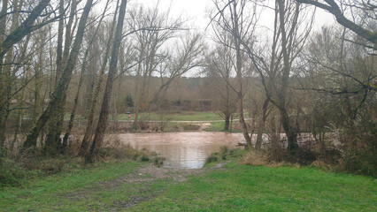 Paisaje con desbordamiento de un río por abundantes lluvias entre árboles en Burgos, España