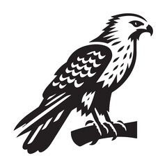 Obraz premium Hawk silhouette black and white vector icon