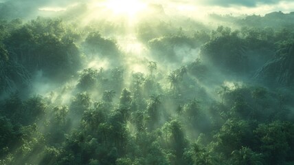 Fototapeta premium Misty Jungle Dawn