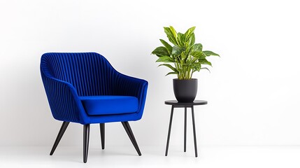 Blue Velvet Armchair  Plant  Side Table  Minimalist Interior Design