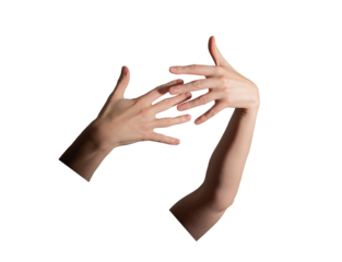 Well-groomed female hands with neatly polished nails intertwined elegantly. Minimalist beauty, hygiene, and skincare concept. Healthy, glossy shine. Isolated on white background..