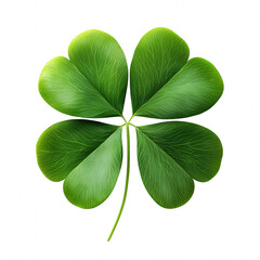 clover leaves isolated on transparent background
