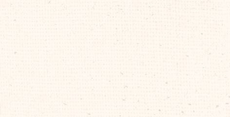 Beige canvas texture. Rice paper. Neutral tone background with noise and speckles. Pale egg shell backdrop. Natural creamy linen grid fabric print. Vector nude color illustration.