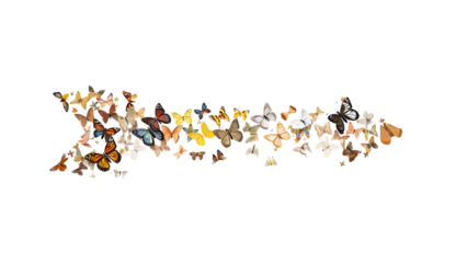 Vibrant Butterfly Arrow isolated on transparent background.