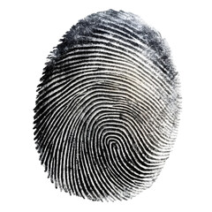 A detailed black ink fingerprint on a transparent background