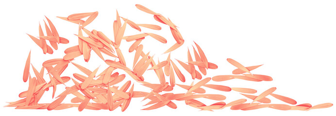 red petals on a white background