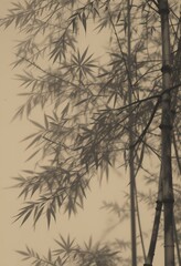 AI Generate of silhouette of bamboo tree in the beige wall