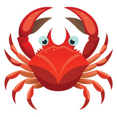 crab vector