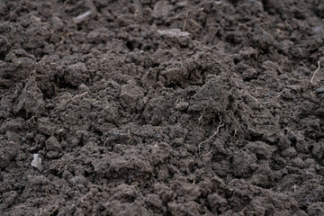 Soil texture in agricultural field. Digging with shovel. Selective focus.
