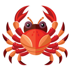 crab vector