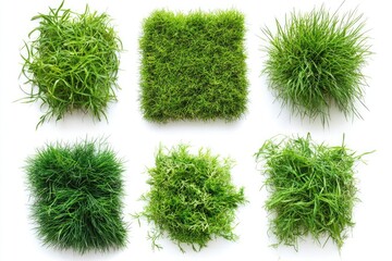 Set of top view lush green grass patches showcasing diverse textures and shades isolate on white background