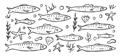 Fishes doodle set. Sardines hand drawn scribble School of fish in the sea. Vector monochrome nautical illustration by pencil isolated on white background. Crayon or chalk naive underwater life.