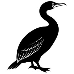 silhouette of a cormorant bird 