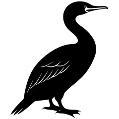 silhouette of a cormorant bird 