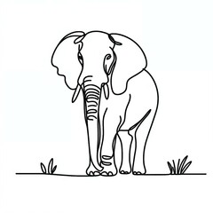 Fototapeta premium elephant