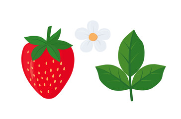 Strawberry set. Ripe red strawberry, green leaf and flower. Vector color flat illustration. Isolated objects on white background. Editable template. For print, logos and designs.
