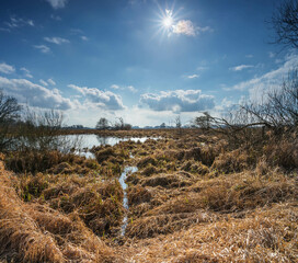 Feldrand-Teich in der Wintersonne
