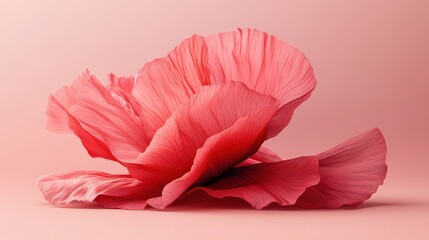 Red poppy with delicate petals on a pastel pink background. Great for expressing beauty, love, and for delicate design projects.