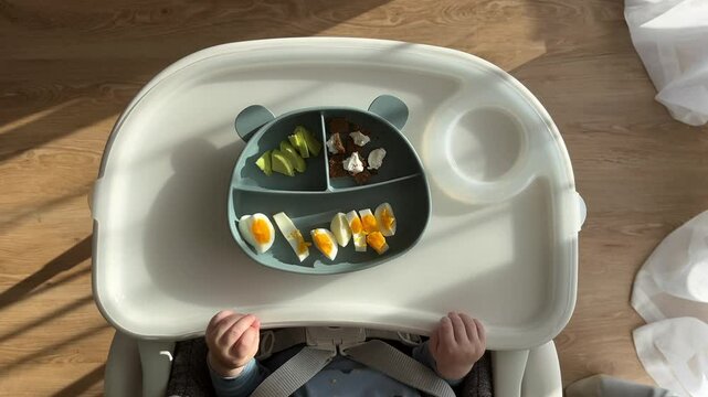 Baby eating first solid food, healthy baby meal with boiled egg, avocado, bread in a silicone plate in the shape of a bear on the table of high chair.