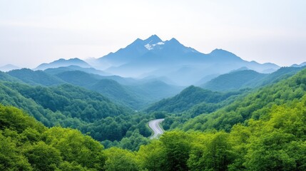 Naklejka premium Misty mountain range with winding road. Lush green forests and peaks