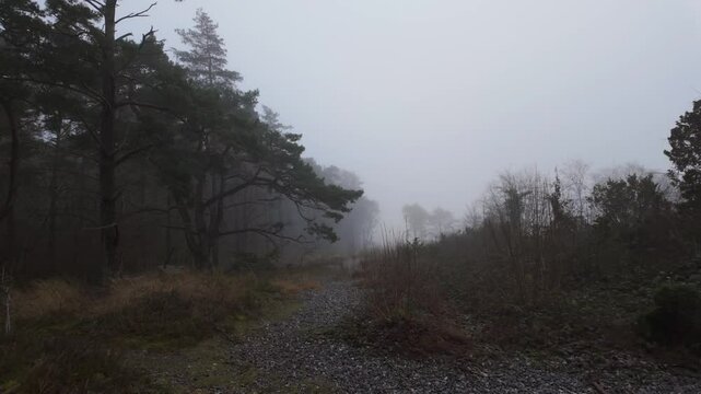 Smooth gimbal glide over the misty flint fields at Mukran, R&uuml;gen Island, Germany, atmospheric foggy coastal landscape, cinematic nature, serene and mystical scenery