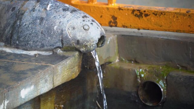 Slow motion shot of Fish shaped spout giving hot water from the spring at Chashme Shahi gardens in srinagar said to have medicinal properties a popular tourist spot