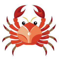 crab vector