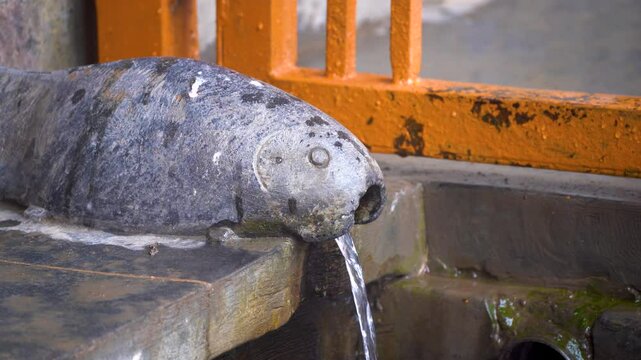 Fish shaped spout giving hot water from the spring at Chashme Shahi gardens in srinagar said to have medicinal properties a popular tourist spot