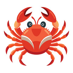 crab vector
