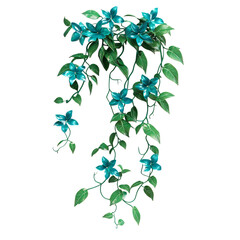 3D Jade Vine Plant with Cascading Green Vines and Blue Flowers Isolated on Transparent Background
