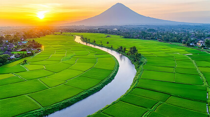 Naklejka premium Sunrise Over Rice Paddy Fields and River Valley