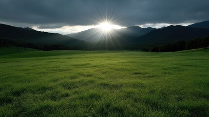 Fototapeta premium Lush green meadow, sun setting over mountains
