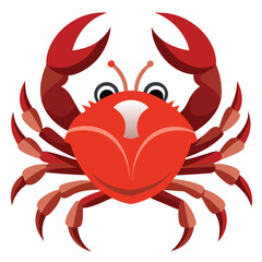 crab vector