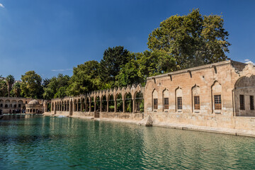 Balikligol (Pool of Abraham) in Sanliurfa, Turkey