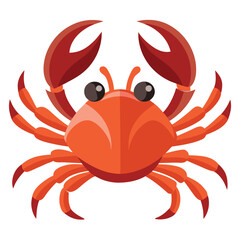 crab vector