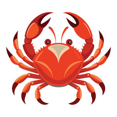 crab vector