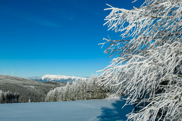 Snow-covered trees stand tall under clear blue sky, framing majestic mountains in Fischbach Alps in Styria, Austria. Serene winter landscape in Teufelstein showcasing alpine beauty of Austrian Alps