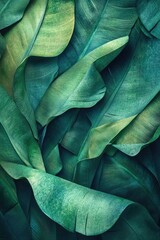 Lush green tropical leaves.  Close-up view of overlapping foliage.  Vibrant, textured, and detailed