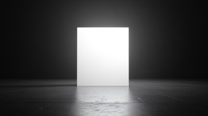 Minimalist white door set against a dark room evoking mystery and intrigue in a contemporary space