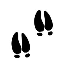 Animal tracks foot print
