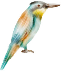 watercolor bee eater bird