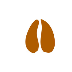 Animals footprints
