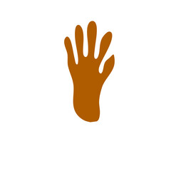 Obraz premium Animals footprints 