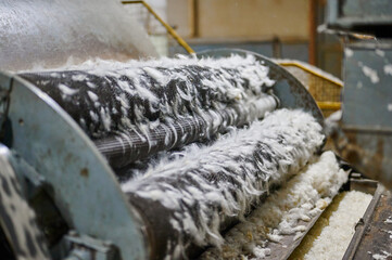 Transforming raw sheep wool into felt material in a traditional textile workshop