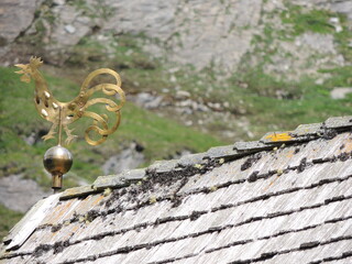 Recorrido por los Alpes Austriacos.