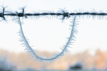 frozen water on a fence hanging in a complete circel
